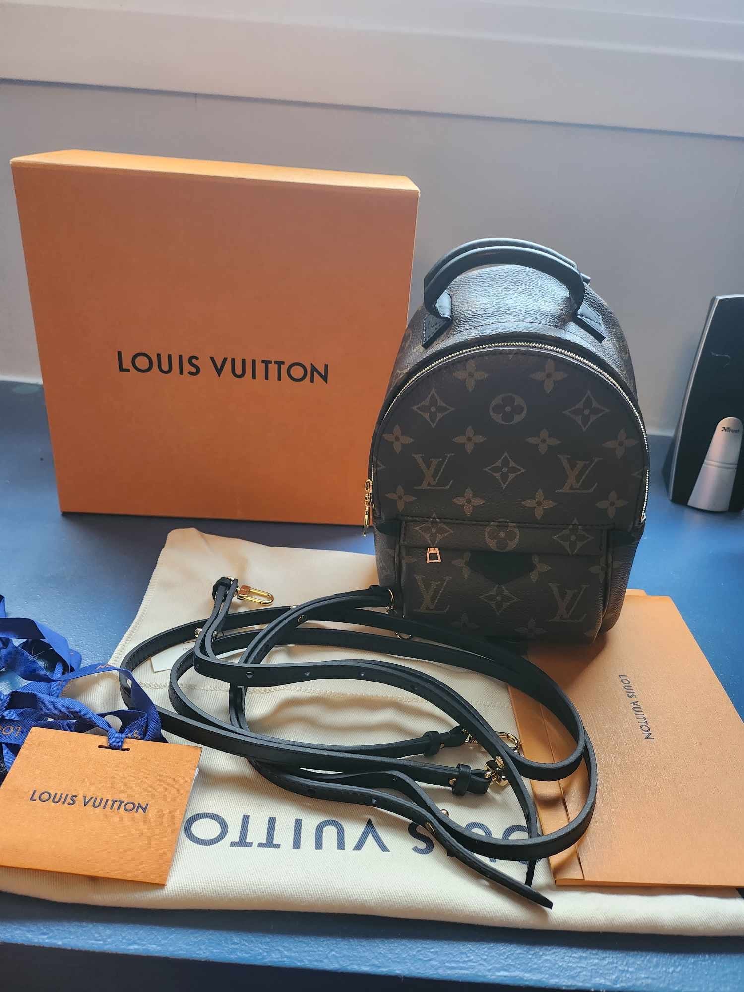 Louis v back pack sale