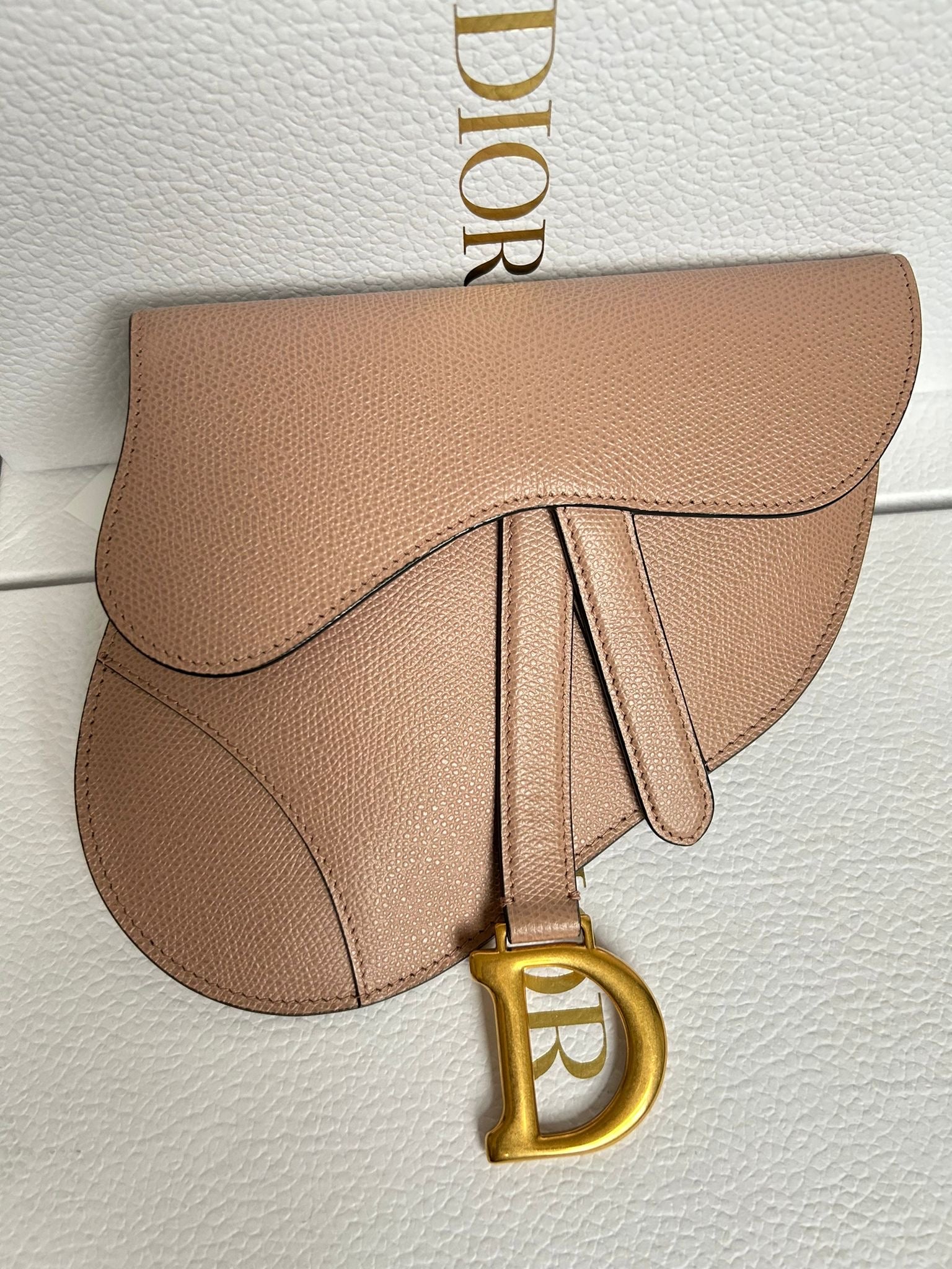 Dior Saddle Pouch