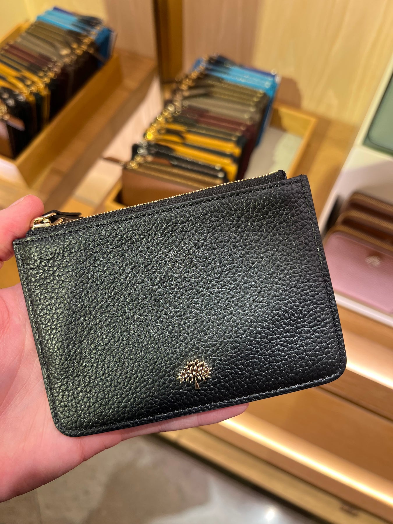 Mulberry Zip Coin Pouch  REVIEW & WHAT FITS 